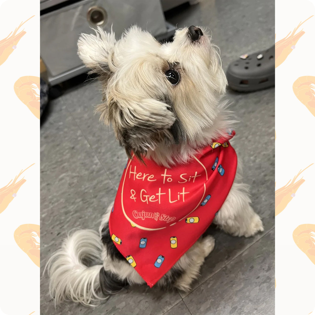 Gator hotsell dog bandana